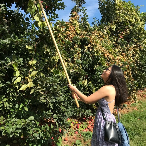 Open back sundress - Picture 5 of 5